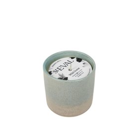 Wild Gorse, Sea & Shore Pot