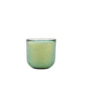 Sea Moss & Driftwood, Sea Garden