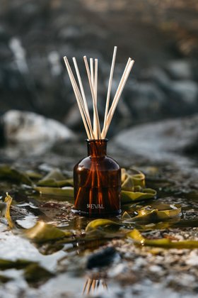 St Eval, Sea Salt, Reed Diffuser