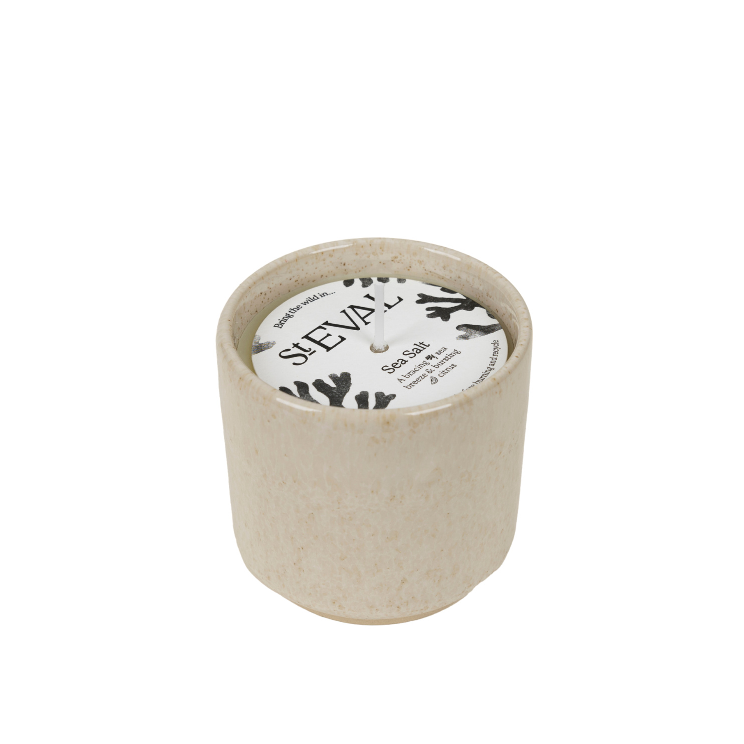 Sea Salt, Sand Dune Pot