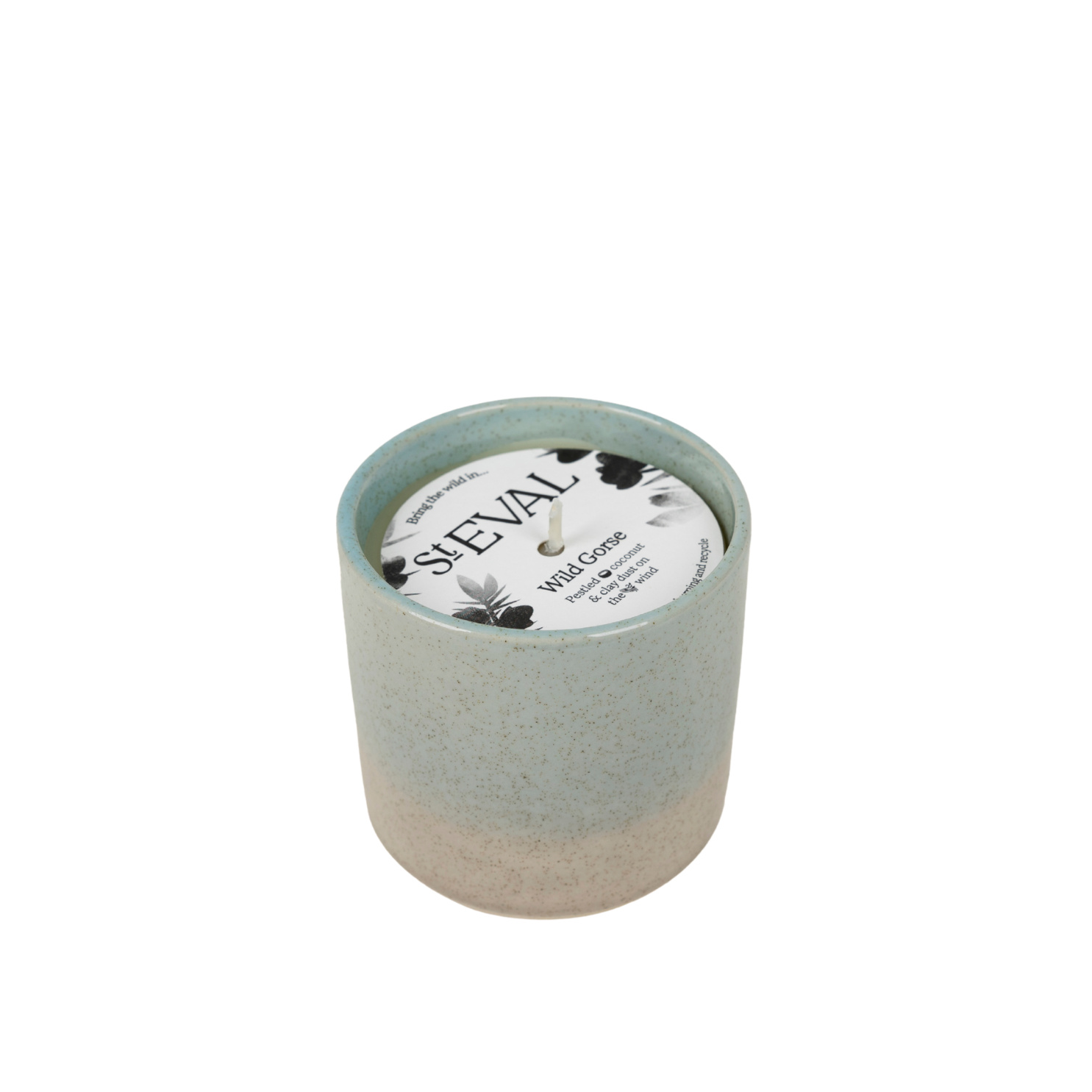 Wild Gorse, Sea & Shore Pot