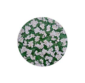 Large Round Botanical Placemat Viktor & Maria Nina D