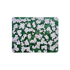 Large Botanical Placemat Viktor & Maria Nina D