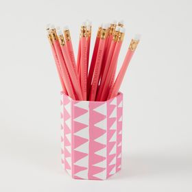 Pen Pot - Bunting - Pink