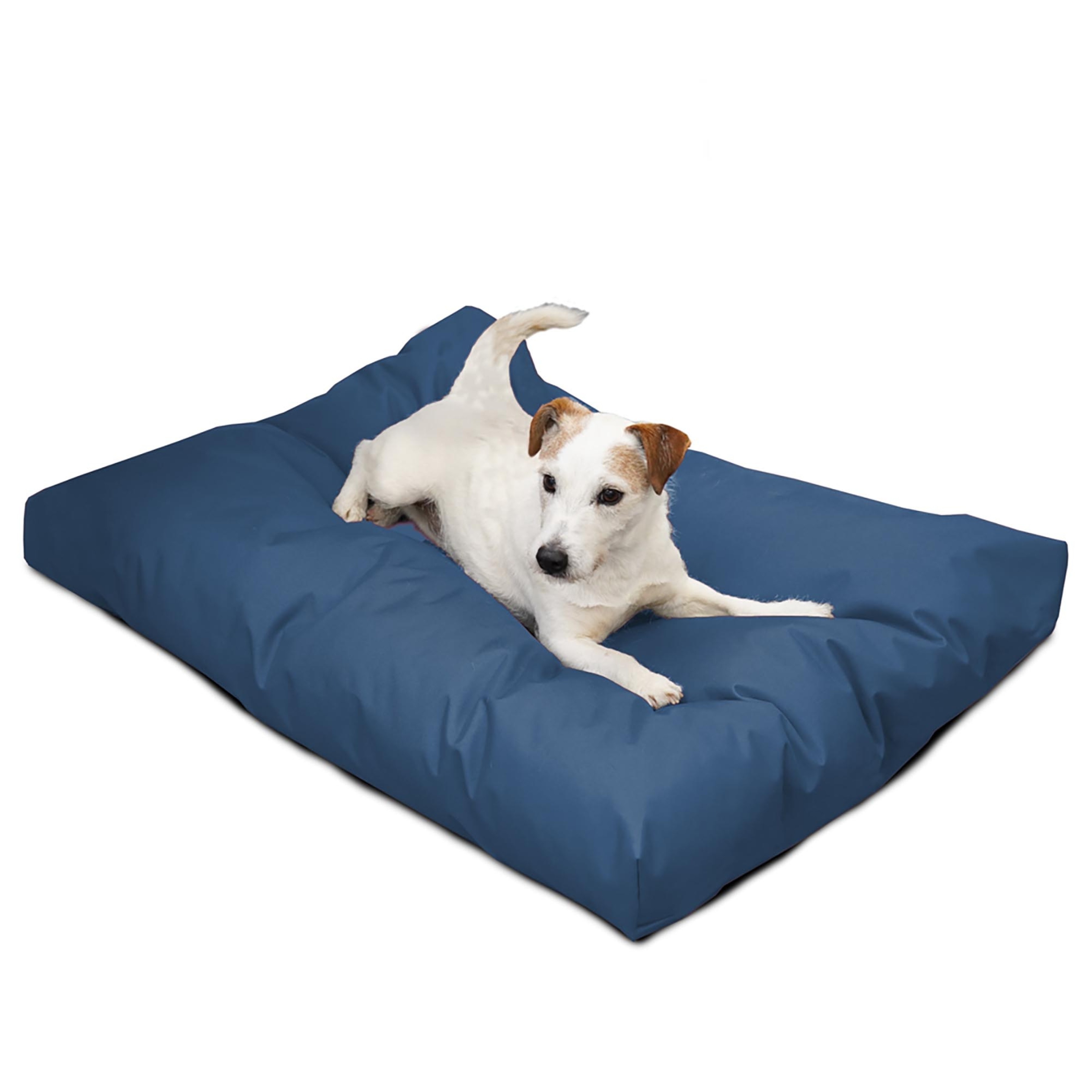 Dogtuff Dog Bed - Medium - Royal Blue