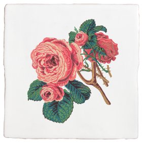 Ca' Pietra x Divine Savages The Brambles Rose Luxe 2