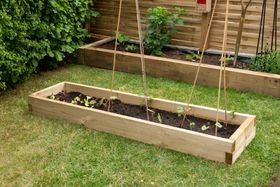 Caledonian Long Raised Bed
