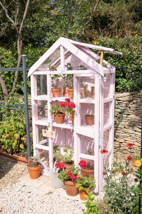 Georgian Tall Wall Greenhouse with Auto Vent - (Image Credit: @floraldaysintheshires)