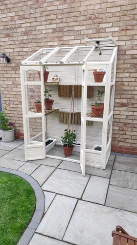 Victorian Tall Wall Greenhouse - (Image Credit: @gemma85 X)