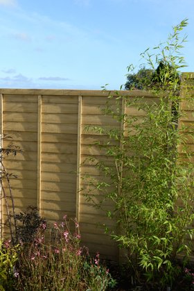 Signature Lap Panel 6ft x 6ft