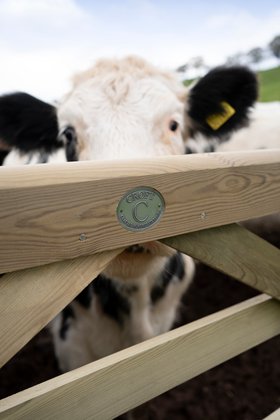 8ft Croft Prestige Gate