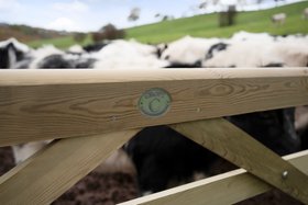 8ft Croft Prestige Gate