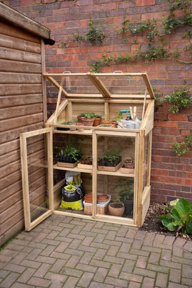 Mini Greenhouse