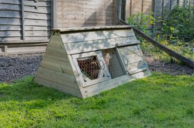 Small Starter Coop