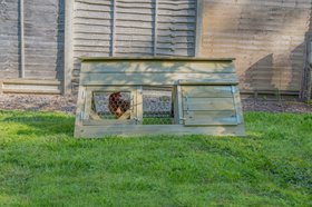 Small Starter Coop