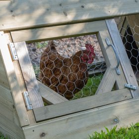Small Starter Coop