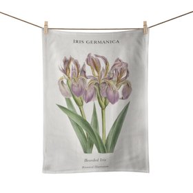 Bearded Iris Botanical Illustration Kitchen Towel