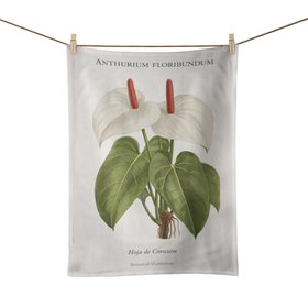 Anthurium floribundum  – Botanical Art Print Tea Towel