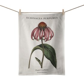 Echineacea Purpurea - Botanical Art Print Tea Towel