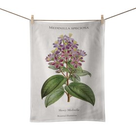 Showy Medinilla (Medinilla speciosa) – Botanical Art Print Tea Towel