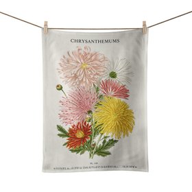 Chrysanthemus Multi - Art Flowers Tea Towel