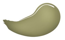 Earthborn paint swoosh - Oliver Twig