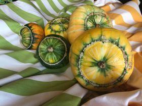 Green White Stripe Fabric - Autumn Stripes