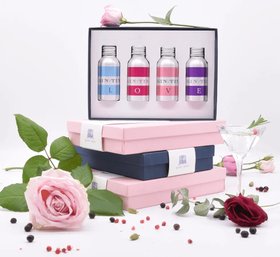 ©2026 - Gin In A Tin - 4x 35ml  - The LOVE Set of Gins