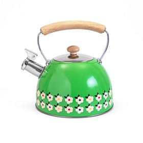 Stove Top Whistling Kettle Stainless Steel in Meadow Green