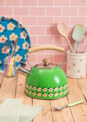Stove Top Whistling Kettle Stainless Steel in Meadow Green