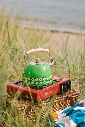 Stove Top Whistling Kettle Stainless Steel in Meadow Green