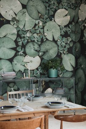 Water Lilies Green Wallpaper