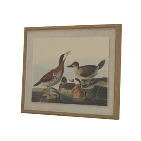 Neutral Ornithological Ducks Bird Print With Linen Background – Beaded Wooden Frame Framed Wall Art 40x50x2cm