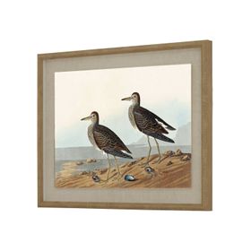 Neutral Ornithological Sandpiper Bird Print with Linen Background – Beaded Wooden Frame Framed Wall Art 40x50x2cm