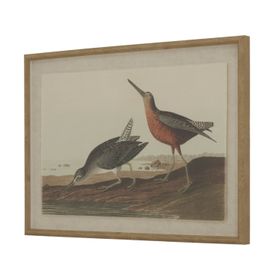 Neutral Ornithological Short-Billed Dowitcher Bird Print with Linen Background – Beaded Wooden Frame Framed Wall Art 62x45x2cm