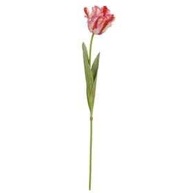 Artificial Pink & Red Parrot Tulip Stem with Lifelike Ruffled Feathered Petals – Realistic Faux Flower 69cm