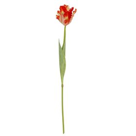 Artificial Flame Orange Parrot Tulip Stem with Lifelike Ruffled Feathered Petals – Realistic Faux Flower 69cm