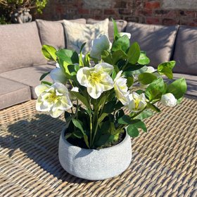Artificial White Hellebore Plant in Grey Ceramic Pot – Realistic Faux Christmas Rose Flower Arrangement 41x38x33cm