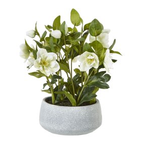 Artificial White Hellebore Plant in Grey Ceramic Pot – Realistic Faux Christmas Rose Flower Arrangement 41x38x33cm