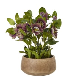 Artificial Deep Burgundy Purple Hellebore Plant in Taupe Ceramic Pot – Realistic Faux Christmas Rose Flower Arrangement 41x38x33cm