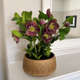 Artificial Deep Burgundy Purple Hellebore Plant in Taupe Ceramic Pot – Realistic Faux Christmas Rose Flower Arrangement 41x38x33cm