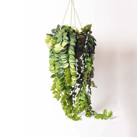 Faux Green Leaf Hanging Trailing Plant