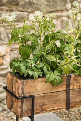 Amazzi Planter Stand Small