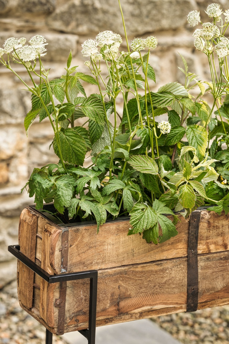 Amazzi Planter Stand Small