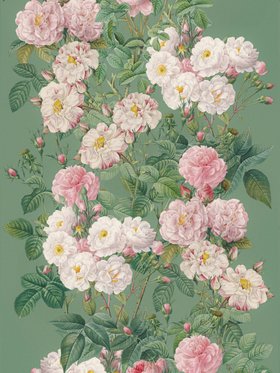 Jardin de Roses Wallpaper (Verdigris)