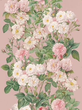 Jardin de Roses Wallpaper (Old Rose)