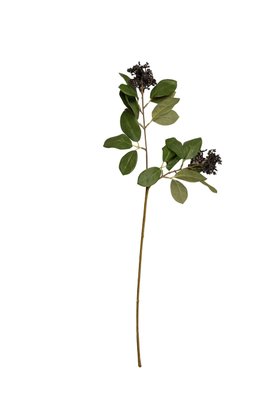 Artificial Black Seed Pod