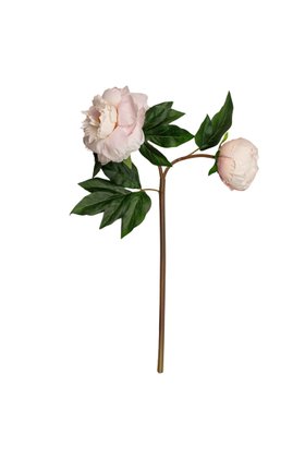 Artificial Blush Pink Two Bloom Real Touch Peony
