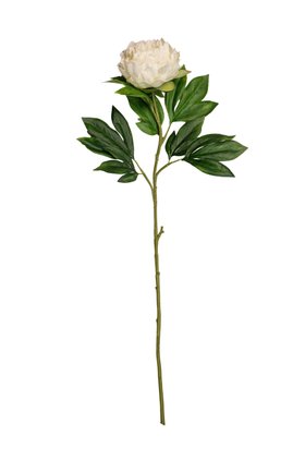 Artificial Cream Tall Peony