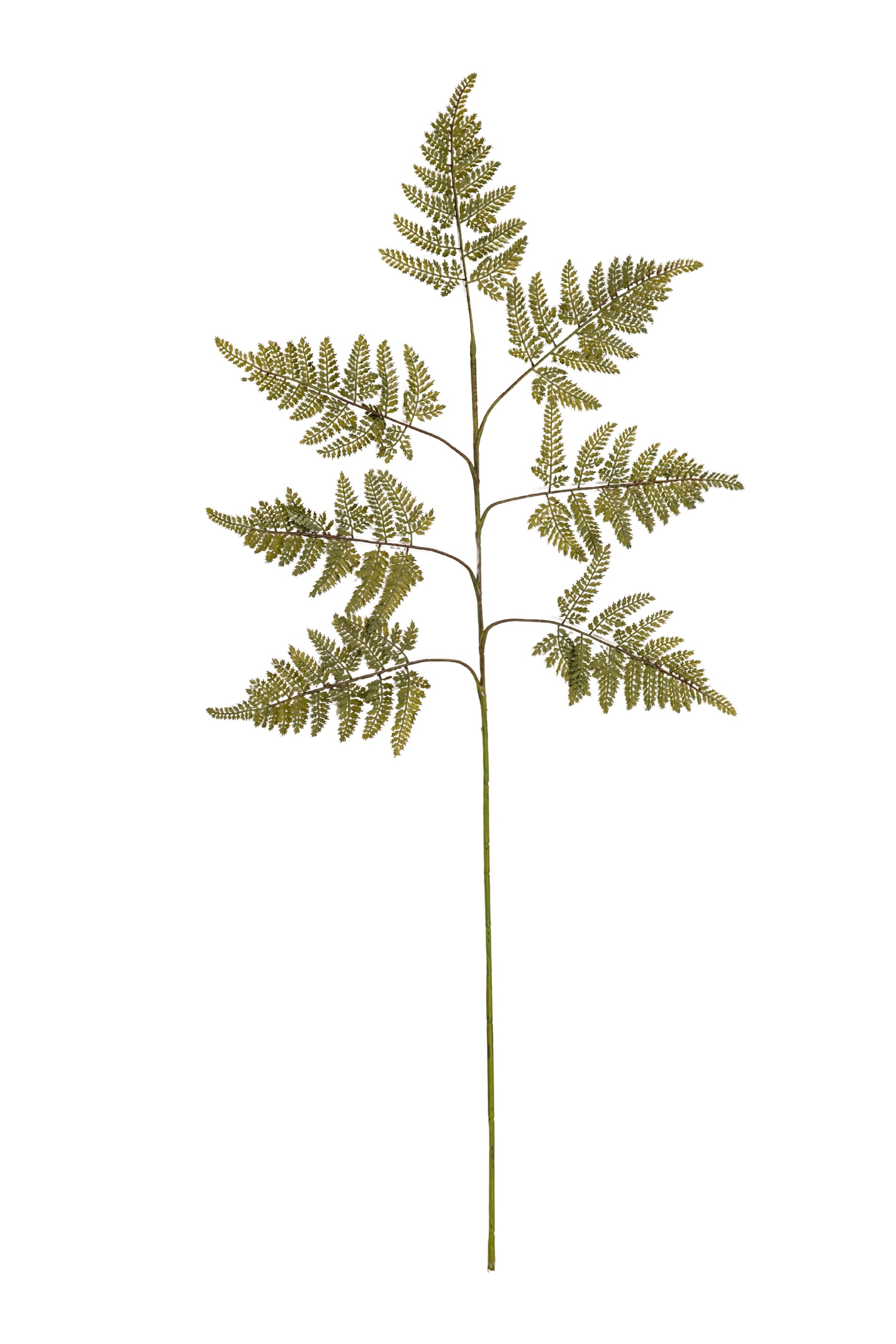 Artificial Green Bracken Fern